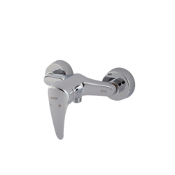 شیر کسری توالت کارون